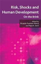 Ricardo Seck Fuentes-Nieva, Fuentes-Nieva, R Fuentes-Nieva, R. Fuentes-Nieva, Ricardo Fuentes-Nieva, Seck... - Risk, Shocks, and Human Development
