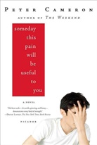Peter Cameron - Someday This Pain Will Be Useful to You