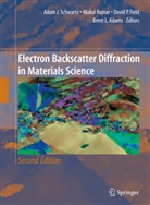 Brent L. Adams, Adams et al, Field et al, David Field, David P. Field, Kuma... - Electron Backscatter Diffraction in Materials Science