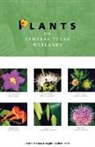 Scott B Fleenor, Scott B. Fleenor, Scott B./ Taber Fleenor, Stephen Taber, Stephen Welton Taber - Plants of Central Texas Wetlands