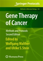 Wolfgang Walther, S Stein, S Stein, Ulrike S Stein, Ulrike S. Stein, Wolfgan Walther... - Gene Therapy of Cancer