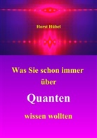 Horst Hübel - Was Sie schon immer über Quanten wissen wollten