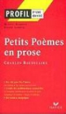 Agnès Landes, Charles Baudelaire, Charles P. Baudelaire, Agnes Landes, Agnès Landes, Michel Viegnes... - Baudelaire, Petits poèmes en prose