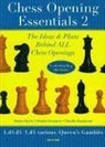 Stefan Djuric, Stephan Djuric, Dimitri Komarov, Claudio Pantaleoni - Chess Opening Essentials: 1.D4 D5 / 1.D4 Various / Queen's Gambits