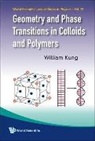 William Kung, William Kung - GEOMETRY & PHASE TRANSITIONS IN... (V79)