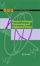 Santiago Aja-Fern¿ez, Santiago Aja-Fernández, Santiago Aja-Fernandez, Santiago Aja-Fernández, Rodrig de Luis Garcia, Rodrigo de Luis Garcia... - Tensors in Image Processing and Computer Vision