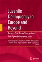 Dirk Enzmann, Dirk Enzmann et al, Beata Gruszcynska, Beata Gruszczynska, Inek Haen Marshall, Ineke Haen Marshall... - Juvenile Delinquency in Europe and Beyond