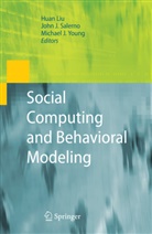 Michael J Young, Huan Liu, Joh Salerno, John Salerno, John J. Salerno, Michael J. Young - Social Computing and Behavioral Modeling