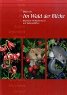 Dieter Bark - Im Wald der Bilche