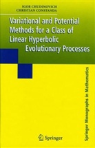 I. Chudinovich, Igor Chudinovich, Christian Constanda - Variational and Potential Methods for a Class of Linear Hyperbolic Evolutionary Processes