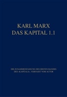 Karl Marx, Rol Hecker, Rolf Hecker, Hildegard Scheibler - Das Kapital 1.1