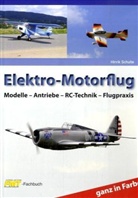 Hinrik Schulte - Elektro-Motorflug