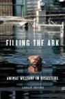Leslie Irvine - Filling the Ark