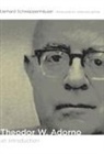 Gerhard Schweppenhauser, Gerhard Schweppenhäuser - Theodor W. Adorno