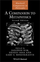 J Kim, Jaegwon Kim, Jaegwon (Rutgers University Kim, Jaegwon Sosa Kim, Jaekwon (Rutgers University Kim, Jaekwon Sosa Kim... - Companion to Metaphysics