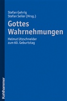 Stefan Gehrig, Stefan Seiler - Gotteswahrnehmungen