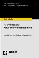 Dorit Bölsche - Internationales Katastrophenmanagement