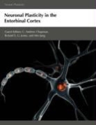 C. Andrew Chapman, Roland S. G. Jones, Min Jung - Neuronal Plasticity in the Entorhinal Cortex