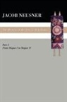 Jacob Neusner - A History of the Jews in Babylonia