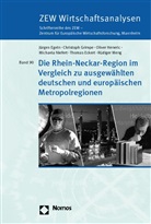 Thomas Eckert, Jürgen Egeln, Christoph Grimpe, Oliver Heneric, Rüdiger Meng, Michaela Niefert - Die Rhein-Neckar-Region im Vergleich zu ausgewählten deutschen und europäischen Metropolregionen