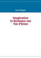 Falco Pfalzgraf - Imagination in Romanen von Tim O'Brien