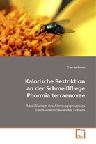 Thomas Braun - Kalorische Restriktion an der Schmeißfliege Phormia terraenovae