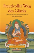 Geshe Kelsang Gyatso, Kelsang (Geshe) Gyatso - Freudvoller Weg des Glücks