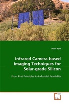 Peter Pohl - Infrared Camera-based Imaging Techniques for Solar-grade Silicon