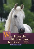 Marlitt Wendt, Maria Mähler, Christiane Slawik - Wie Pferde fühlen und denken