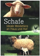 Dorothee Dahl - Schafe