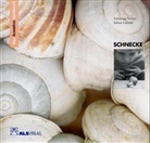 Latorre, Sabine Latorre, Nabe, Anneros Naber, Annerose Naber, Kreide... - Schnecke