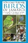 Down, Audrey Downer, Audrey Haynes-Sutton Downer, Ann Haynes-Sutton, Yves-Jacques Rey-Millet, Robert Sutton... - A Photographic Guide to the Birds of Jamaica