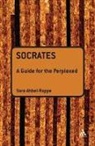 Sara Ahbel-Rappe - Socrates: A Guide for the Perplexed