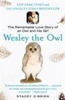 Stacey Brien, O&amp;apos, Stacey O'Brien - Wesley the Owl