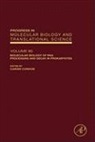 P. Michael (EDT)/ Condon Conn, Ciaran Condon - Molecular Biology of Rna Processing and Decay in Prokaryotes