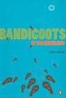 Avijit Ghosh - Bandicoots in the Moonlight