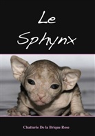 Jean-Claude Dufour - Le sphynx