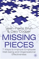 Brun, J Brun, J. Brun, Jean- Pierre Brun, Jean-Pierre Brun, Jean-Pierre Cooper Brun... - Missing Pieces