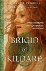 Heather Terrell - The Book of Kildare