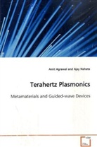 Amit Agrawal - Terahertz Plasmonics