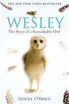Stacey Brien, O&amp;apos, Stacey O'Brien - Wesley
