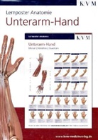 Unterarm-Hand, 1 Poster