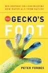 Peter Forbes - The Gecko's Foot