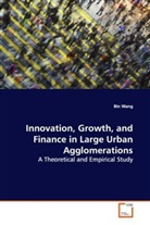 Bin Wang - Innovation, Growth, and Finance in Large Urban Agglomerations