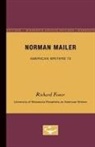 Richard Foster, Richard Jackson Foster - Norman Mailer - American Writers 73