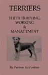 Various - Terriers - Their Training, Work & Management
