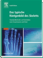 Rudolf Birkner - Das typische Röntgenbild des Skeletts