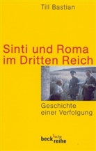 Till Bastian - Sinti und Roma im Dritten Reich