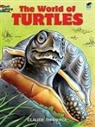 Claude Thivierge - World of Turtles