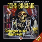 Jason Dark, Frank Glaubrecht, Silke Haupt, Joachim Kerzel, Martin May, Franziska Pigulla... - Geisterjäger John Sinclair, Audio-CDs - Tl.13: Geisterjäger John Sinclair - Gefangen in der Mikrowelt, 1 Audio-CD (Audio book)